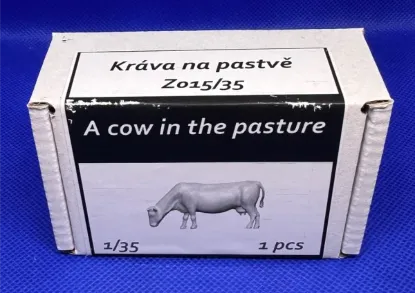 Picture of I/35 A cow in the pasture - Firma49 Z015/35