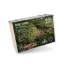 Picture of 1/35 Clover [Swift Vegetation] - RT Diorama 35454