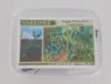 Picture of 1/35 Jungle Plants Set 1 – 4 Different Plants with Resin Parts and Polyurethane Leaves - Reality in Scale PLA01