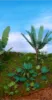 Picture of 1/35 Jungle Plants Set 1 – 4 Different Plants with Resin Parts and Polyurethane Leaves - Reality in Scale PLA01