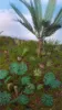 Picture of 1/35 Jungle Plants Set 1 – 4 Different Plants with Resin Parts and Polyurethane Leaves - Reality in Scale PLA01