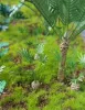 Picture of 1/35 Jungle Plants Set 1 – 4 Different Plants with Resin Parts and Polyurethane Leaves - Reality in Scale PLA01