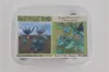 Picture of 1/35 Jungle Plants Set 2 – 4 Different Plants with Resin Parts and Polyurethane Leaves - Reality in Scale PLA02