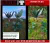 Picture of 1/35 Jungle Plants Set 2 – 4 Different Plants with Resin Parts and Polyurethane Leaves - Reality in Scale PLA02