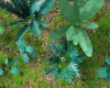 Picture of 1/35 Jungle Plants Set 2 – 4 Different Plants with Resin Parts and Polyurethane Leaves - Reality in Scale PLA02
