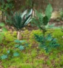 Picture of 1/35 Jungle Plants Set 2 – 4 Different Plants with Resin Parts and Polyurethane Leaves - Reality in Scale PLA02