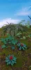 Picture of 1/35 Jungle Plants Set 3 – 4 Different Plants with Resin Parts and Polyurethane Leaves - Reality in Scale PLA03