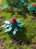 Picture of 1/35 Jungle Plants Set 3 – 4 Different Plants with Resin Parts and Polyurethane Leaves - Reality in Scale PLA03