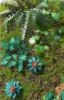 Picture of 1/35 Jungle Plants Set 3 – 4 Different Plants with Resin Parts and Polyurethane Leaves - Reality in Scale PLA03