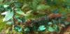 Picture of 1/35 Jungle Plants Set 4 – 4 Different Plants with Resin Parts and Polyurethane Leaves - Reality in Scale PLA04