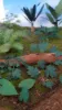 Picture of 1/35 Jungle Plants Set 4 – 4 Different Plants with Resin Parts and Polyurethane Leaves - Reality in Scale PLA04