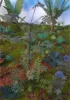 Picture of 1/35 Jungle Plants Set 5 – 4 Different Plants with Resin Parts and Polyurethane Leaves - Reality in Scale PLA05