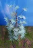 Picture of 1/35 Jungle Tree Set 1 – 1 Tree with Resin Parts and Polyurethane Leaves - Reality in Scale PLA06