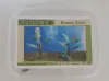 Picture of 1/35 Banana Trees Set – 2 Trees with Resin Parts and Polyurethane Leaves - Reality in Scale PLA07