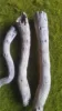 Picture of 1/35 Dead Trees & Branches Set – 3–4 Natural Wood Dead Trees - Reality in Scale PLA08
