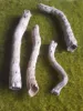 Picture of 1/35 Dead Trees & Branches Set – 3–4 Natural Wood Dead Trees - Reality in Scale PLA08