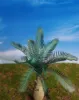 Picture of 1/35 Jungle Palm Tree – Resin Trunk with 12 Polyurethane Leaves – 14cm Finished Height - Reality in Scale PLM03