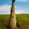Picture of 1/35 Jungle Palm Tree – Resin Trunk with 12 Polyurethane Leaves – 14cm Finished Height - Reality in Scale PLM03