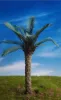 Picture of 1/35 Oil Palm Tree – Resin Trunk with 12 Polyurethane Leaves – 18cm Finished Height - Reality in Scale PLM04