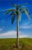 Picture of 1/35 Common Palm Tree – Resin Trunk with 24 Polyurethane Leaves – 23cm Finished Height - Reality in Scale PLM05
