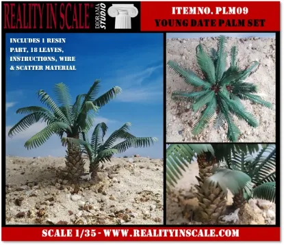 Picture of 1/35 Young Date Palm Set of 2 – Resin Base with 18 Polyurethane Leaves – 10cm Finished Height - Reality in Scale PLM09