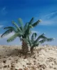 Picture of 1/35 Young Date Palm Set of 2 – Resin Base with 18 Polyurethane Leaves – 10cm Finished Height - Reality in Scale PLM09