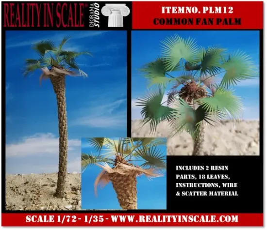Picture of 1/35 Desert Fan Palm – Resin Trunk with 18 Polyurethane Leaves – 18cm Finished Height - Reality in Scale PLM12