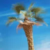 Picture of 1/35 Desert Fan Palm – Resin Trunk with 18 Polyurethane Leaves – 18cm Finished Height - Reality in Scale PLM12