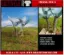 Picture of 1/35 Small Palm Tree Set of 2 – Resin Trunks with 12 Polyurethane Leaves – 8cm Finished Height - Reality in Scale PLM15