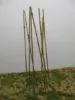 Picture of 1/35 Bamboo Set 1 – Natural Bamboo Medium Green - Reality in Scale TREE03