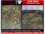 Picture of 1/35 Small Weeds – Medium/Light Green (High Quality Plastic Plants) - Reality in Scale PP001