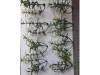 Picture of 1/35 Small Weeds – Medium/Light Green (High Quality Plastic Plants) - Reality in Scale PP001