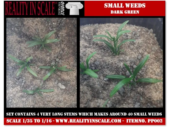 Picture of 1/35 Small Weeds – Dark Green (High Quality Plastic Plants) - Reality in Scale PP002