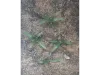 Picture of 1/35 Small Weeds – Dark Green (High Quality Plastic Plants) - Reality in Scale PP002