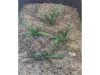 Picture of 1/35 Small Weeds – Dark Green (High Quality Plastic Plants) - Reality in Scale PP002