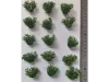 Picture of 1/35 Wild Bushes – Dark Green (High Quality Plastic Plants) - Reality in Scale PP004