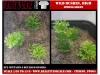 Picture of 1/35 Wild Bushes – Spring Green (High Quality Plastic Plants) - Reality in Scale PP005