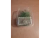 Picture of 1/35 Wild Bushes – Spring Green (High Quality Plastic Plants) - Reality in Scale PP005