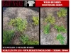 Picture of 1/35 Wild Bushes – Multicolor Medium/Dark Green (High Quality Plastic Plants) - Reality in Scale PP006