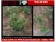 Picture of 1/35 Wild Bushes – Dark Green Set 2 (High Quality Plastic Plants) - Reality in Scale PP007