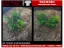 Picture of 1/35 Wild Bushes – Medium/Light Green Set 2 (High Quality Plastic Plants) - Reality in Scale PP008