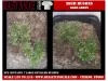 Picture of 1/35 High Bushes – Dark Green (High Quality Plastic Plants) - Reality in Scale PP009