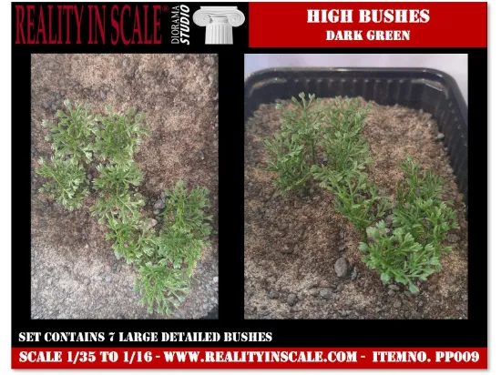Picture of 1/35 High Bushes – Dark Green (High Quality Plastic Plants) - Reality in Scale PP009
