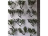 Picture of 1/35 High Bushes – Dark Green (High Quality Plastic Plants) - Reality in Scale PP009