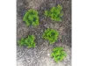 Picture of 1/35 Low Bushes – Light Green (High Quality Plastic Plants) - Reality in Scale PP010