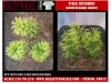 Picture of 1/35 Tall Bushes – Medium/Light Green (High Quality Plastic Plants) - Reality in Scale PP012