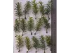 Picture of 1/35 Tall Bushes – Medium/Light Green (High Quality Plastic Plants) - Reality in Scale PP012