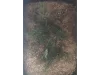 Picture of 1/35 Tall Bushes – Dark Green (High Quality Plastic Plants) - Reality in Scale PP013