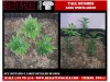 Picture of 1/35 Small Tree Type 1 (High Quality Plastic Plants) - Reality in Scale PP014
