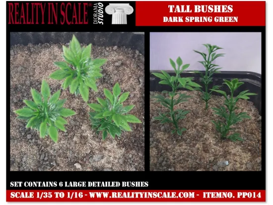 Picture of 1/35 Small Tree Type 1 (High Quality Plastic Plants) - Reality in Scale PP014